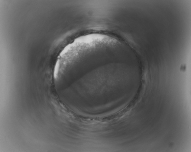 X0000113951398200910231956