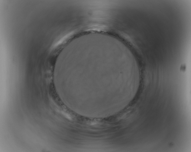 X0000113951399200910231956