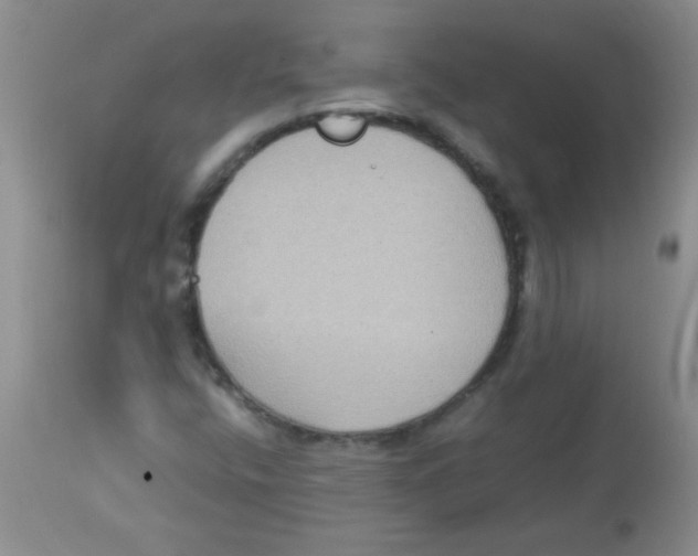 X0000113951400200910231956