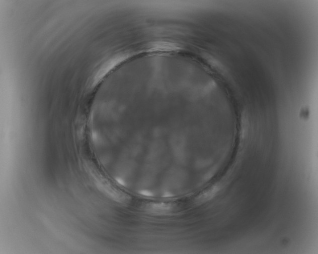 X0000113951401200910231956