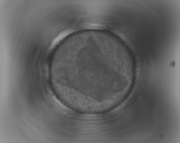 X0000113951402200910231956
