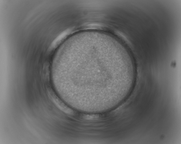 X0000113951403200910231956