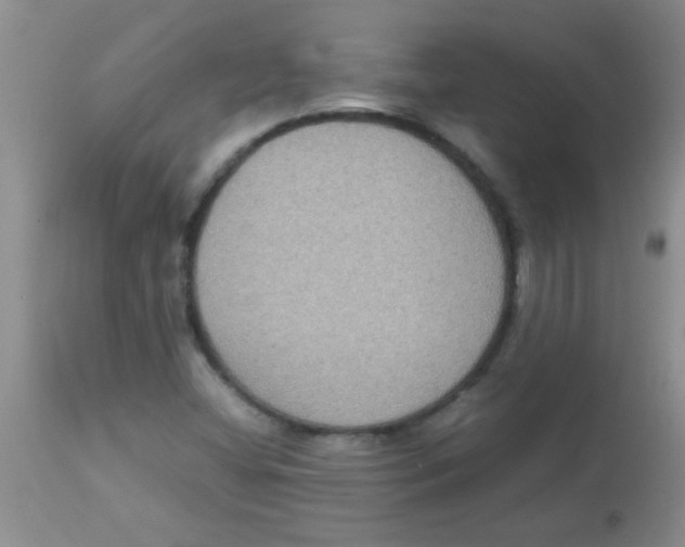 X0000113951404200910231956
