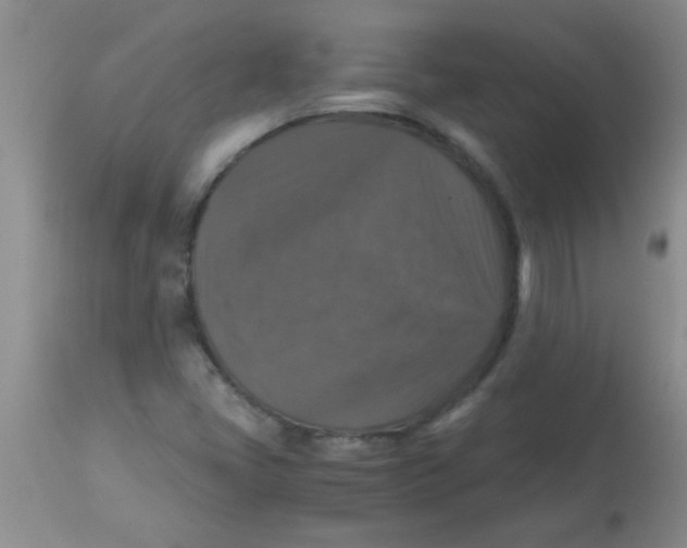 X0000113951405200910231956