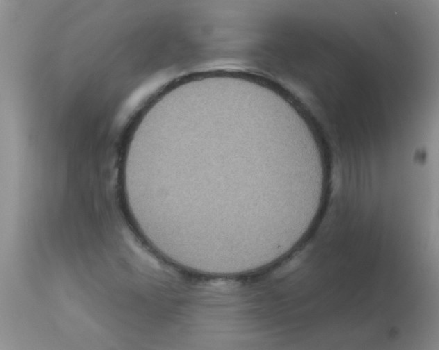 X0000113951406200910231956
