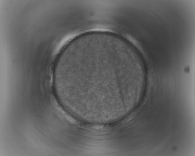 X0000113951408200910231956