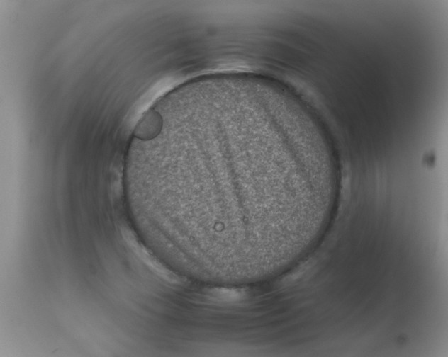 X0000113951409200910231956