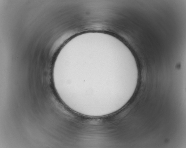 X0000113951410200910231956