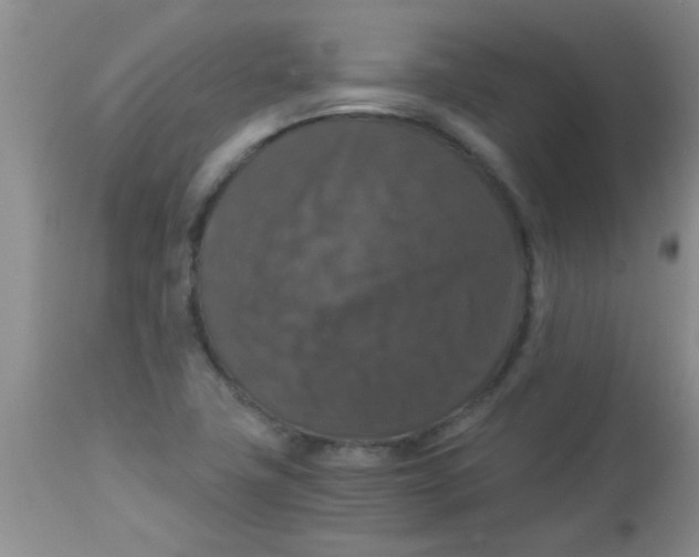 X0000113951411200910231956