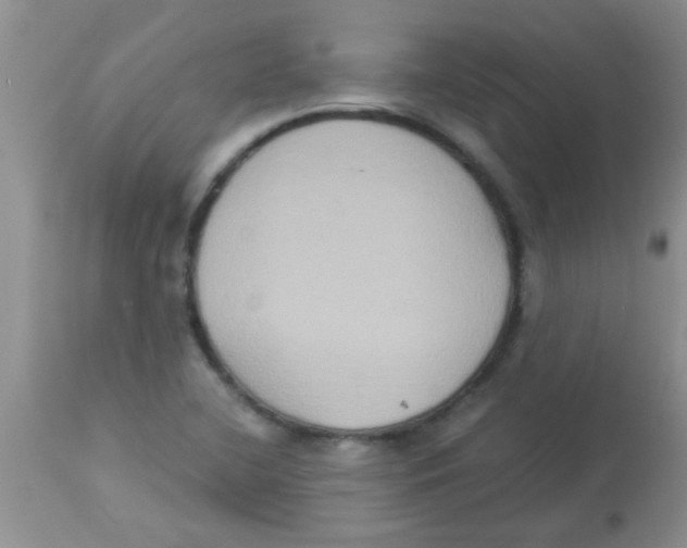 X0000113951412200910231956