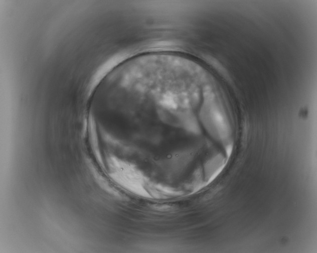 X0000113951413200910231956