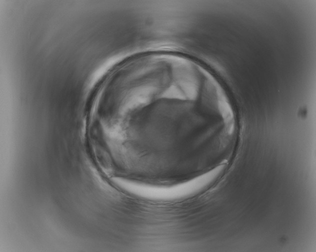 X0000113951414200910231956