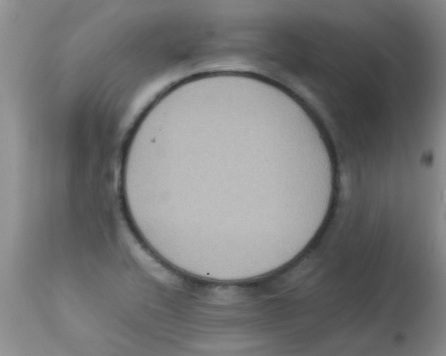 X0000113951416200910231956
