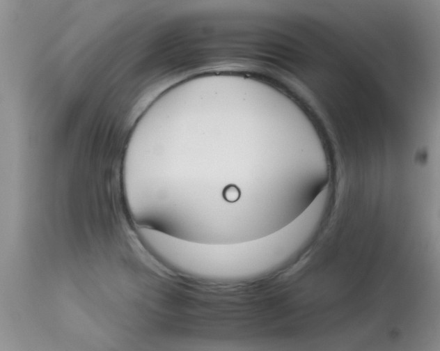 X0000113951417200910231956