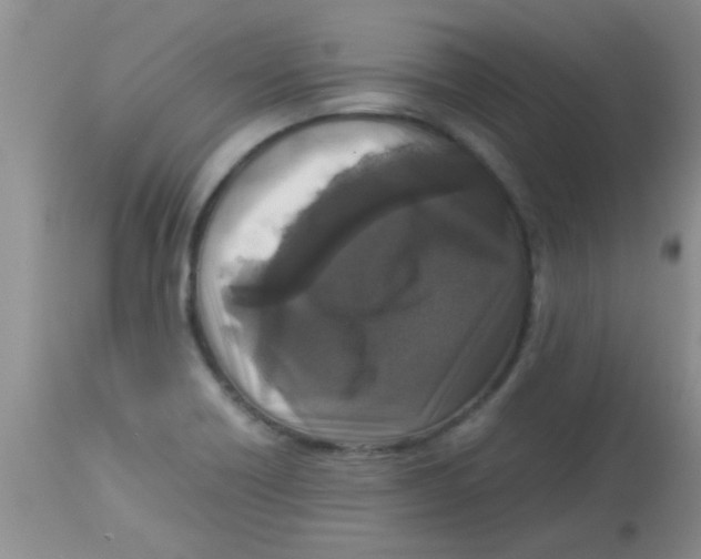 X0000113951418200910231956