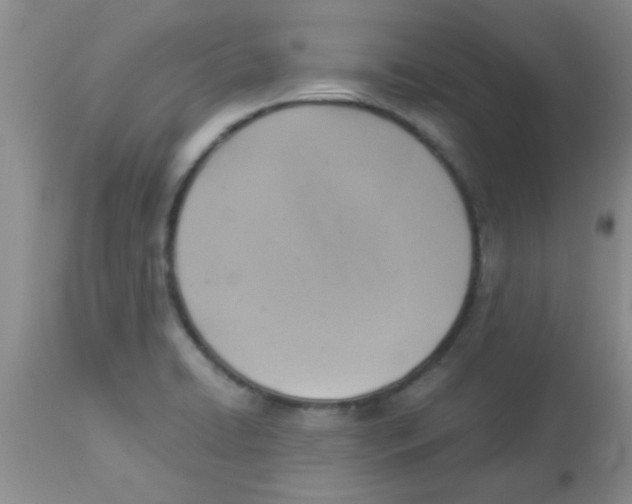 X0000113951422200910231956