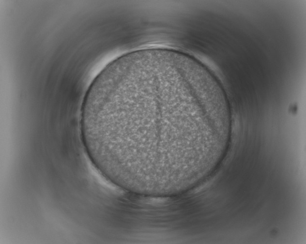 X0000113951423200910231956
