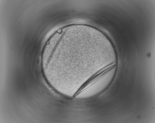X0000113951424200910231956