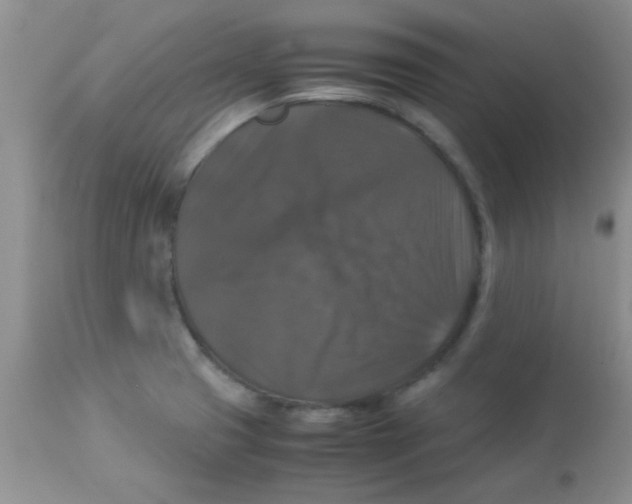X0000113951425200910231956