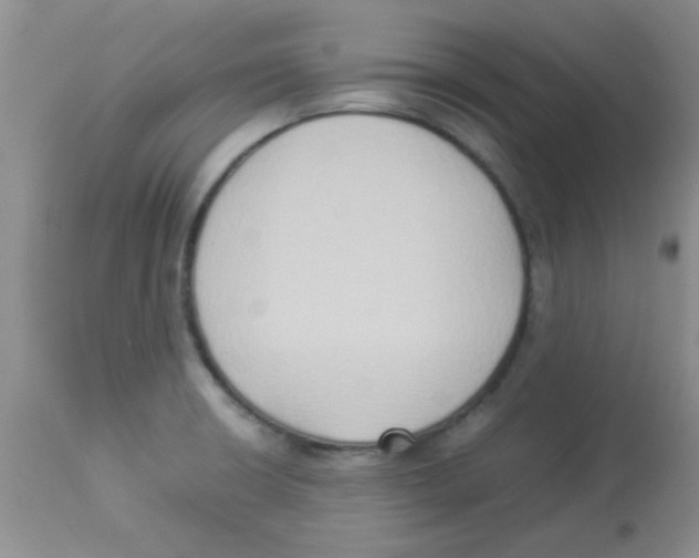 X0000113951426200910231956