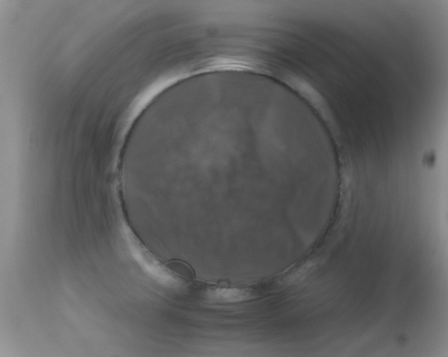 X0000113951427200910231956
