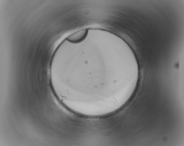 X0000113951428200910231956