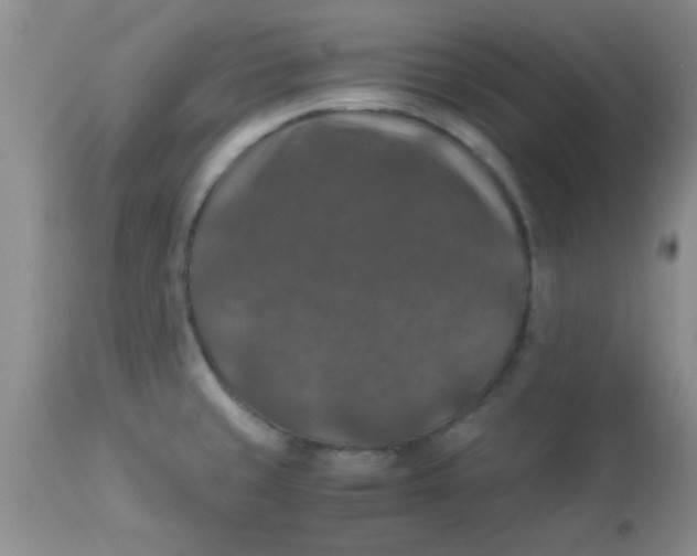 X0000113951429200910231956