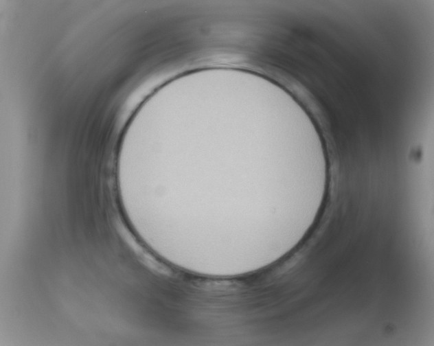 X0000113951432200910231956