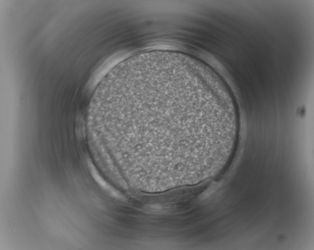 X0000113951433200910231956