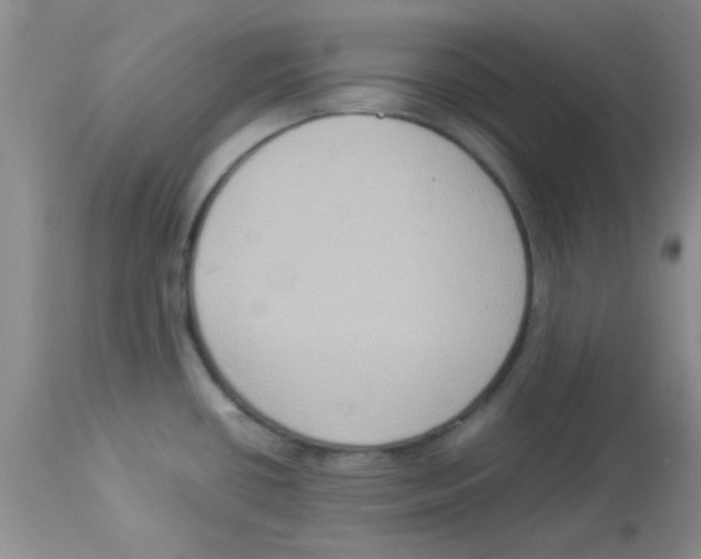X0000113951434200910231956
