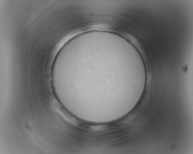 X0000113951435200910231956
