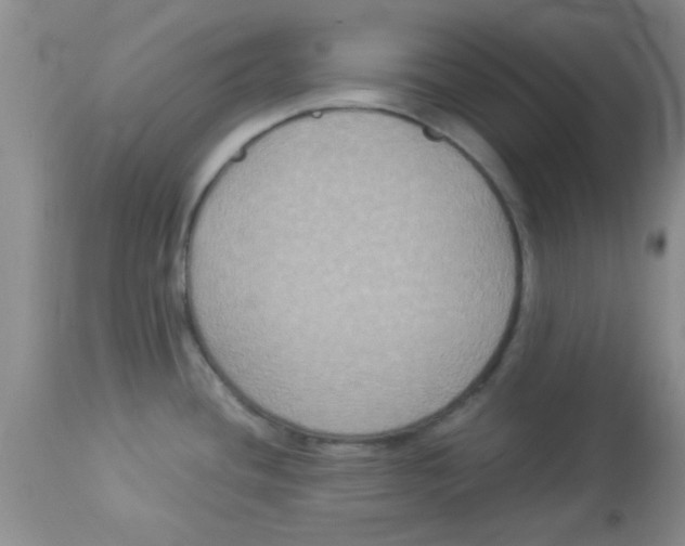 X0000113951436200910231956