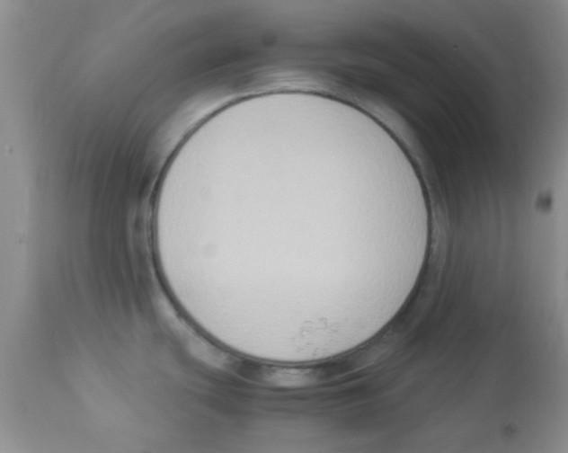X0000113951439200910231956