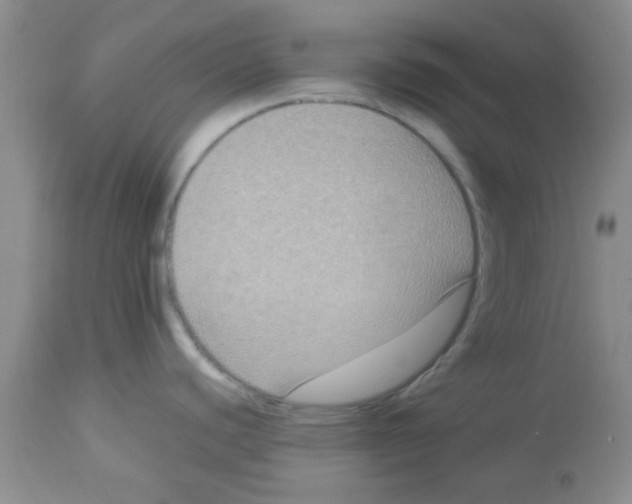 X0000113951440200910231956