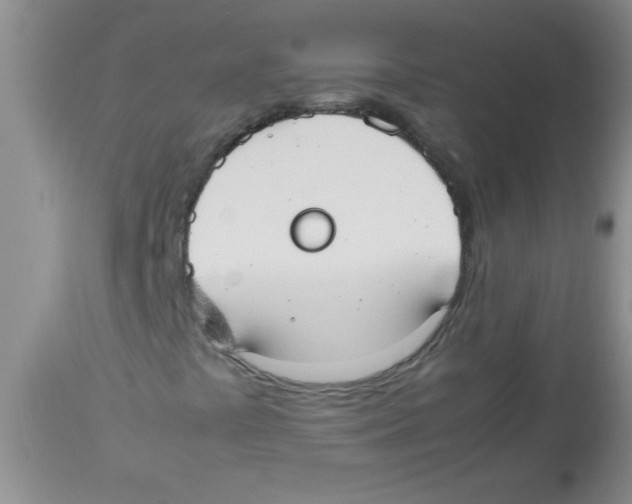 X0000113951441200910231956