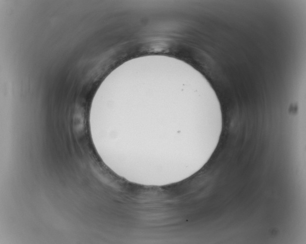 X0000113951442200910231956