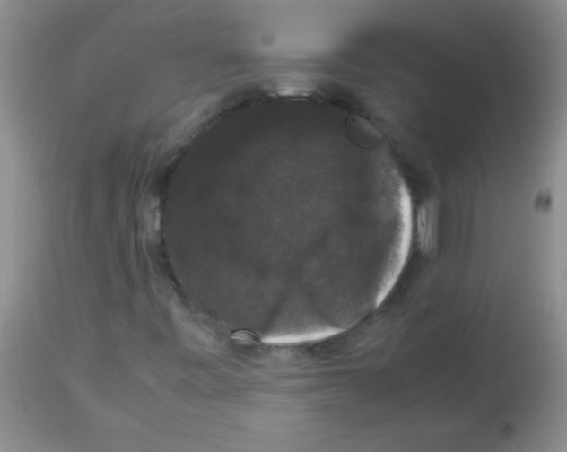 X0000113951443200910231956