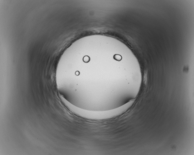 X0000113951444200910231956