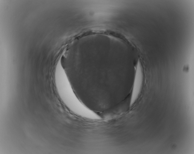 X0000113951445200910231956