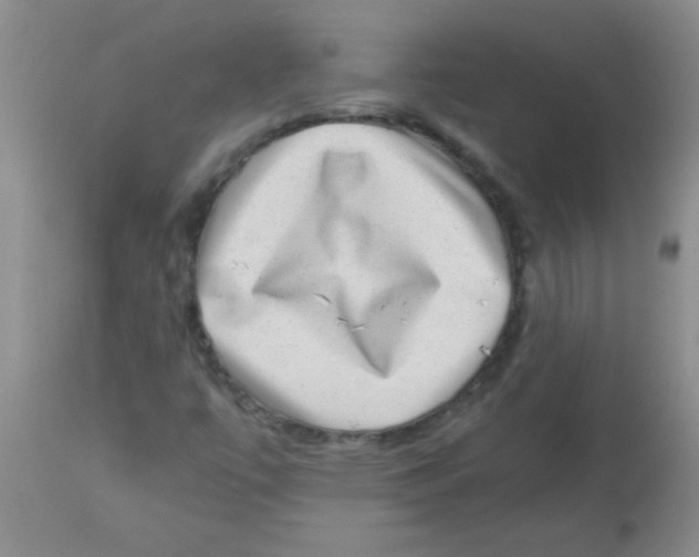 X0000113951447200910231956