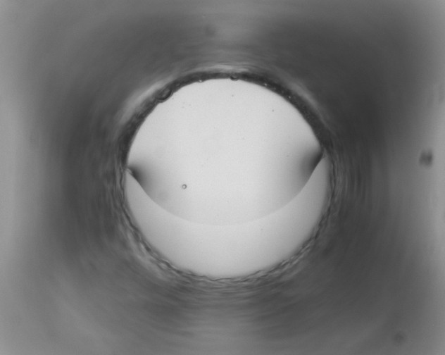 X0000113951448200910231956