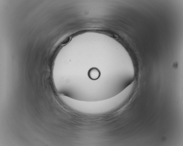 X0000113951449200910231956