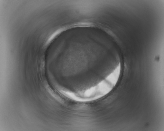 X0000113951450200910231955