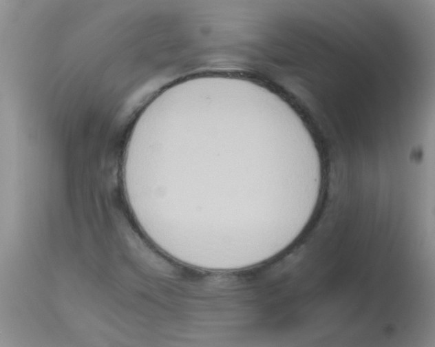 X0000113951451200910231955