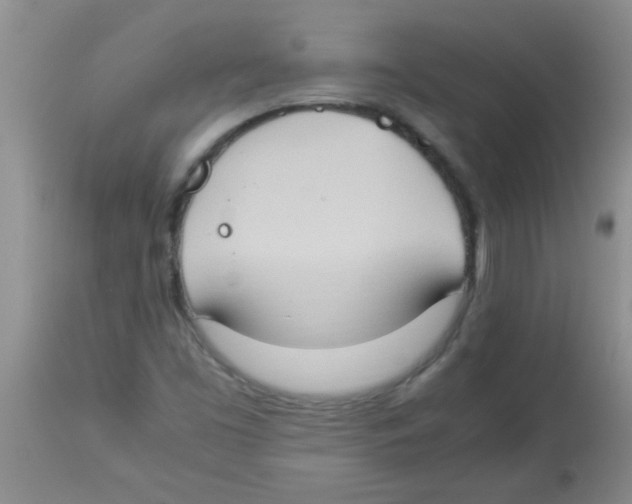 X0000113951453200910231955