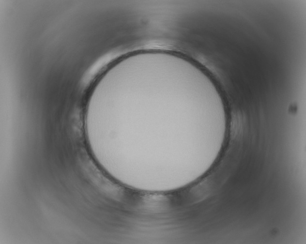 X0000113951454200910231955