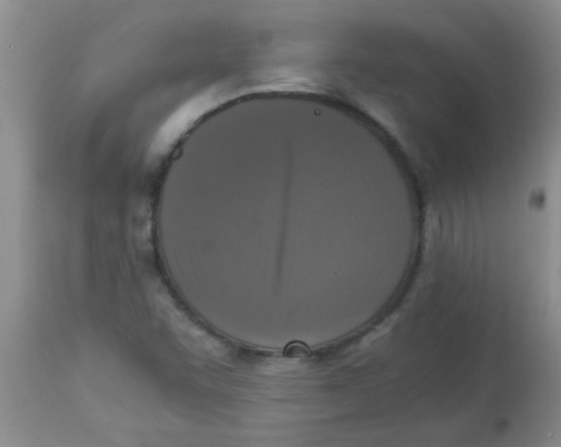 X0000113951455200910231955
