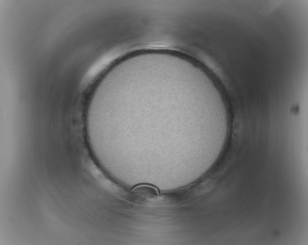 X0000113951456200910231955