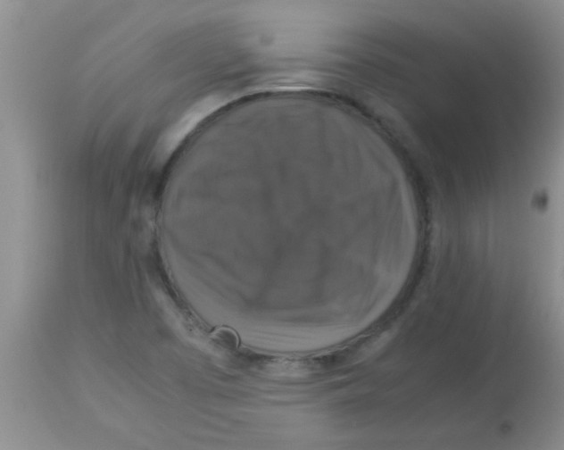 X0000113951457200910231955