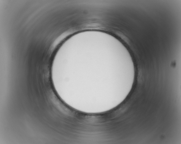 X0000113951458200910231955